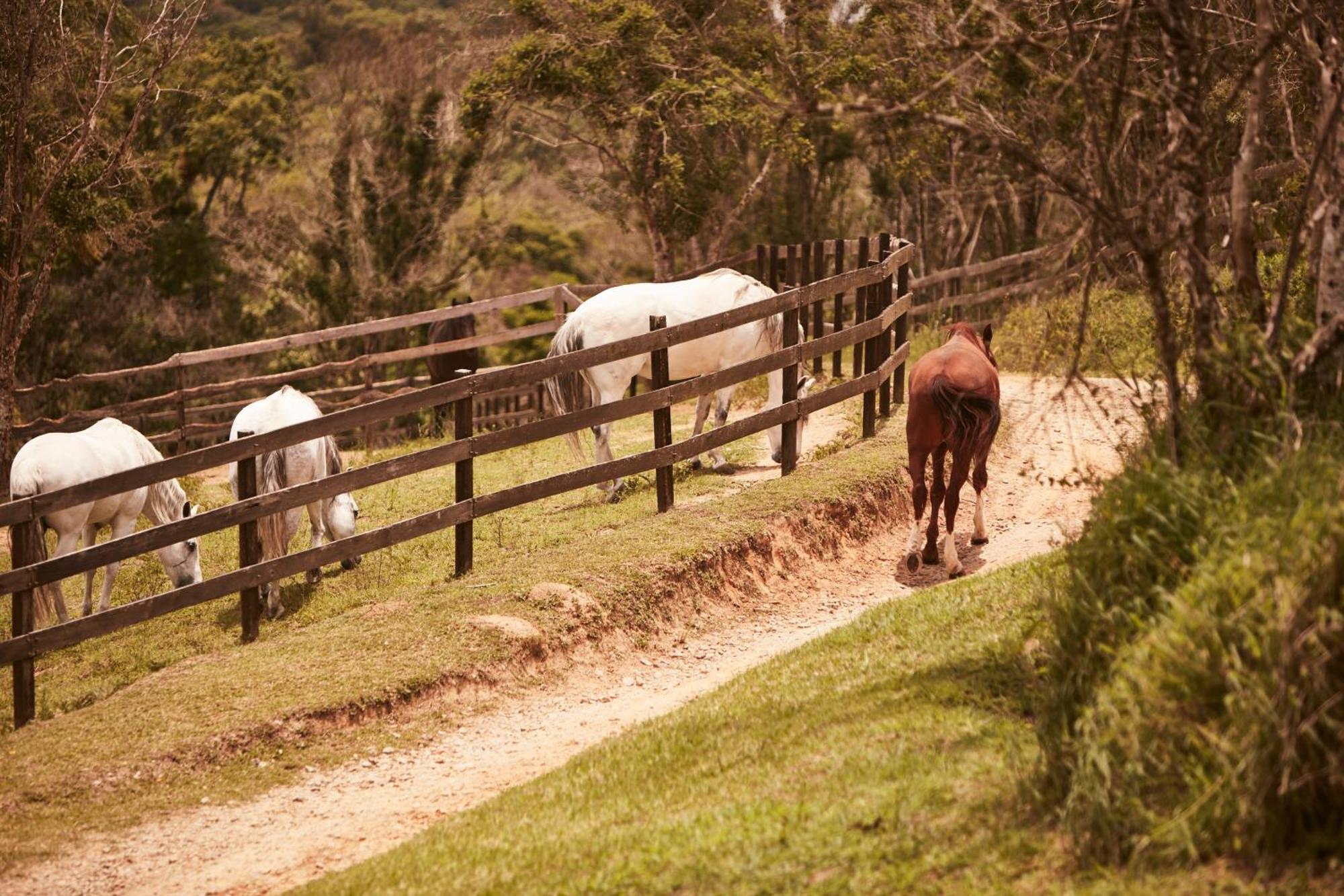 Hotel Fazenda Morros Verdes Ecolodge Ibiúna Dış mekan fotoğraf